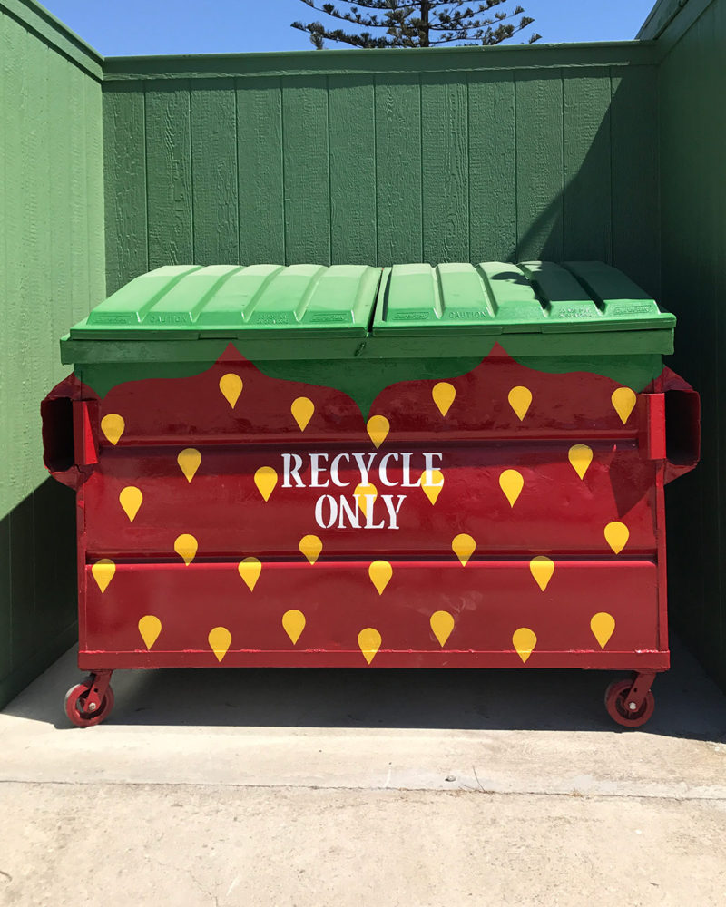 Even Harry's Berries' recycle bin is strawberry themed.