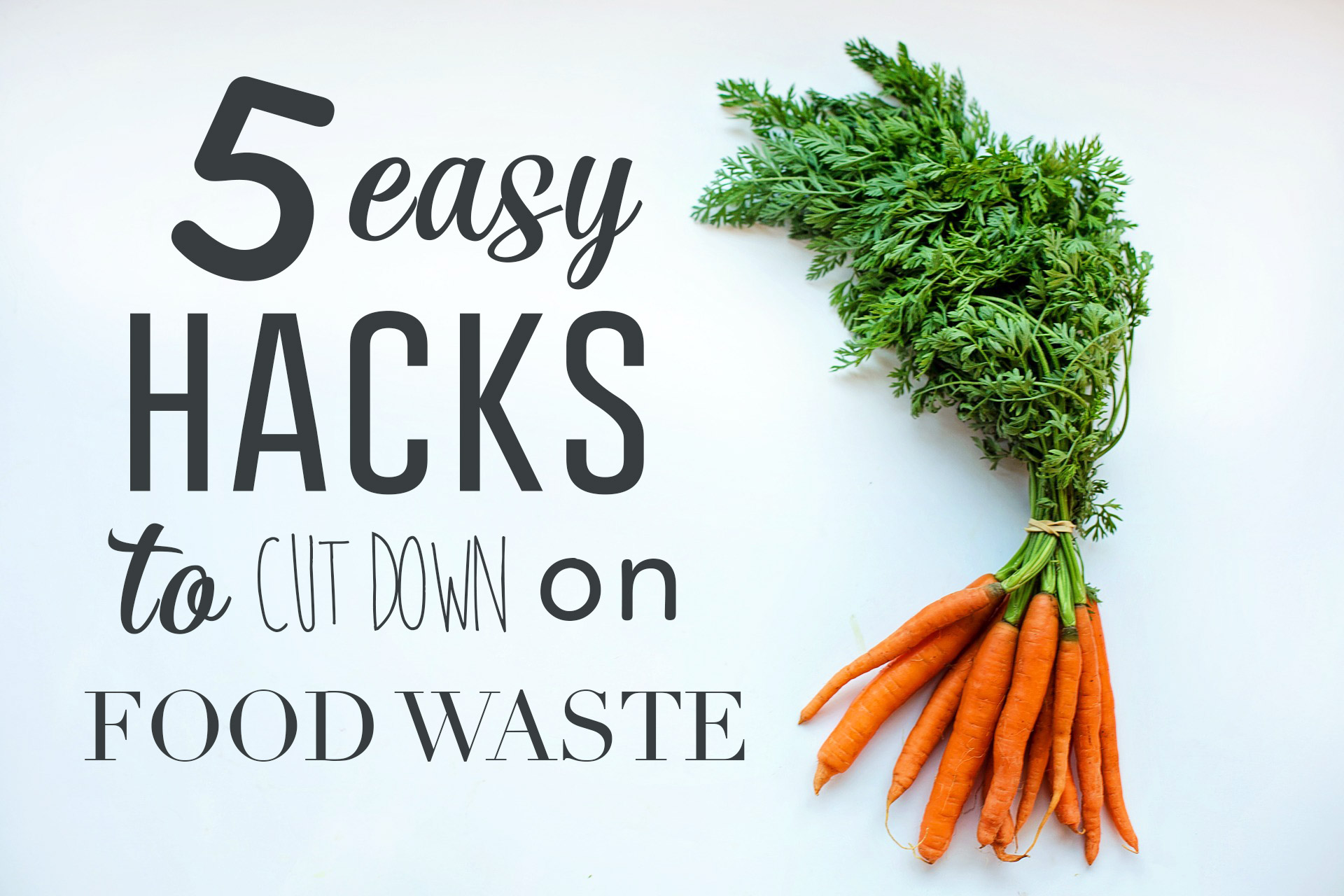 5 Easy Hacks to Cut Down on Food Waste