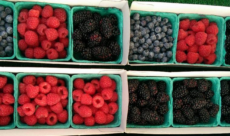Berries | grubmarket.com