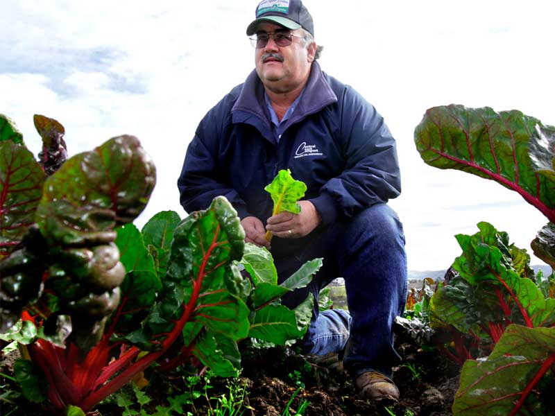 Farmer Friends: Lakeside Organic Gardens