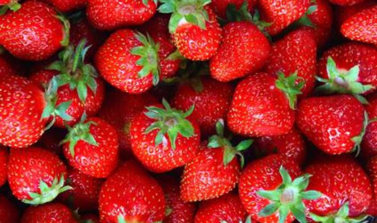 Strawberries | grubmarket.com